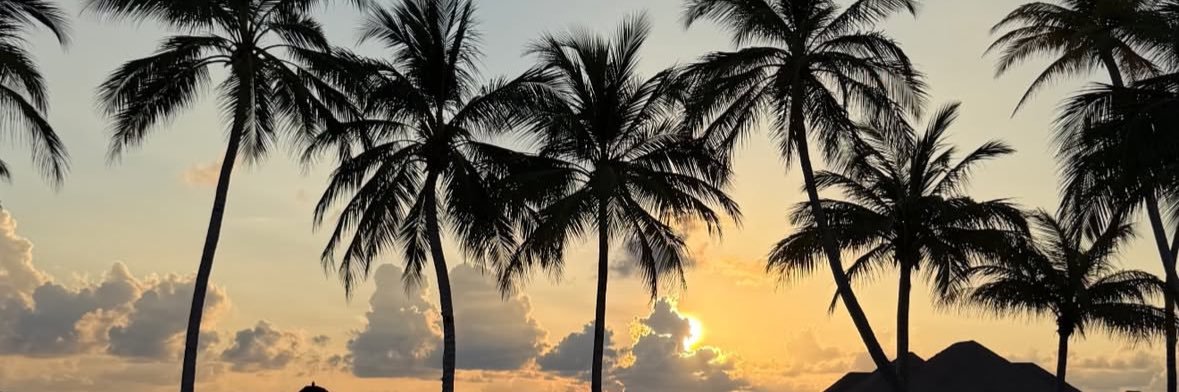 Isabel Benéitez banner