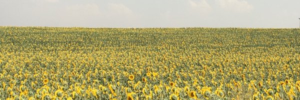 mjgarciadig Profile Banner