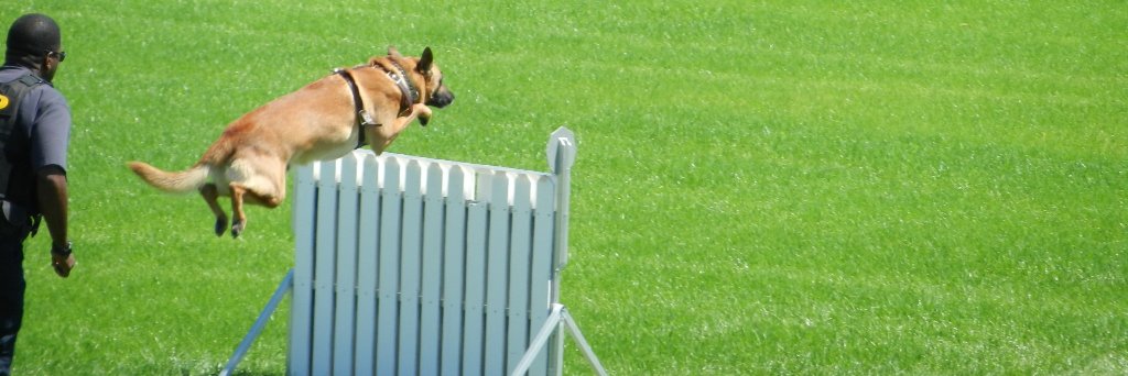 offleashk9t's profile banner image