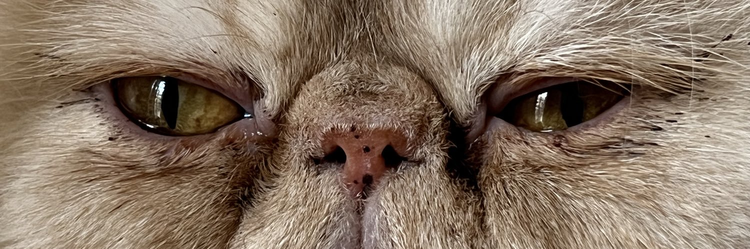 david_peerless's profile banner image
