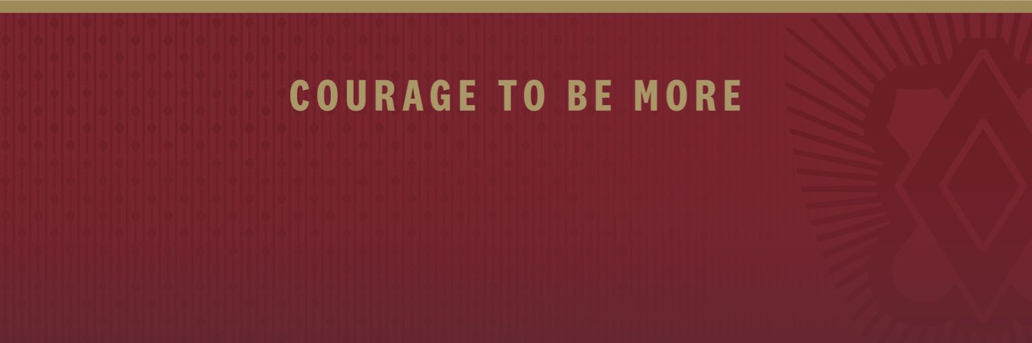 Pi Kappa Alpha banner