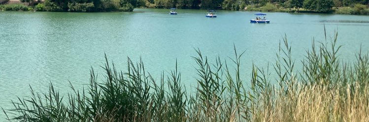 Delphine_Gillet's profile banner image