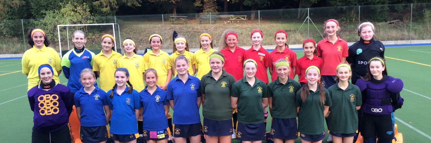Beachborough Sport banner
