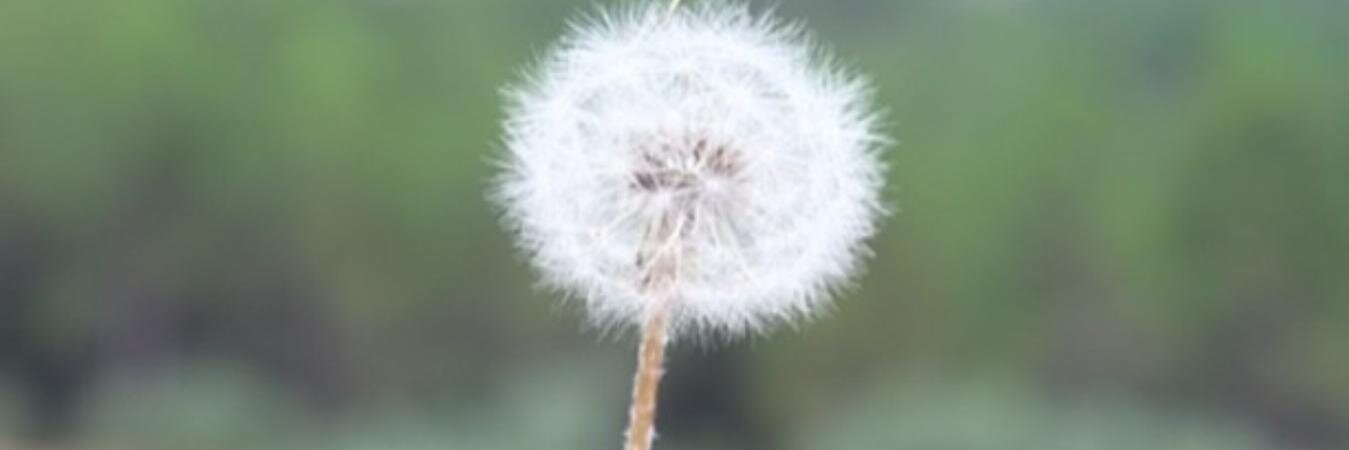 1Juud's profile banner image