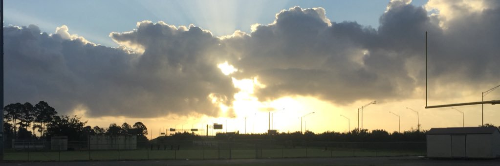 Marcus McCarty banner