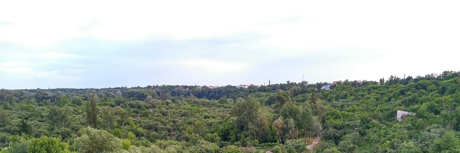 Vashchenko Stas banner