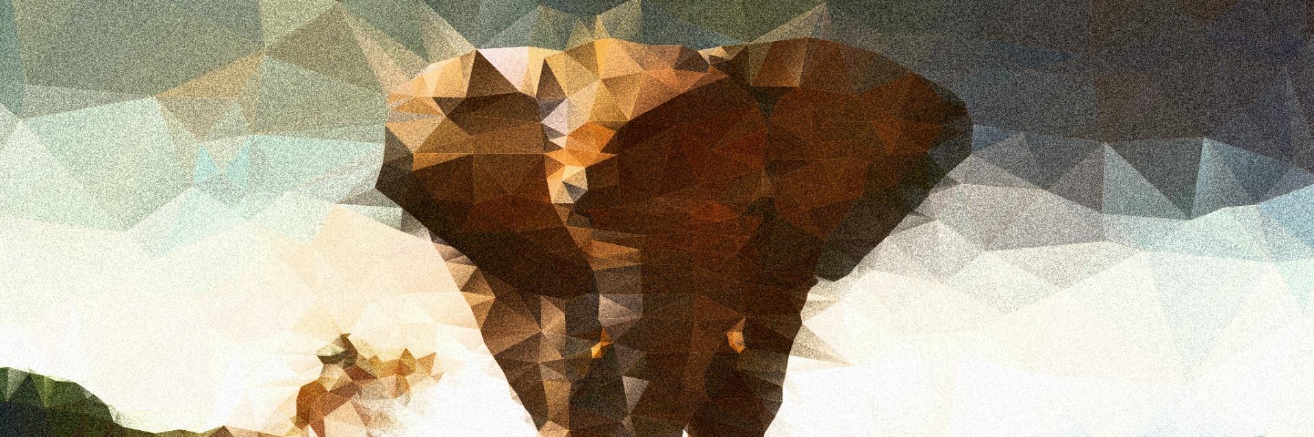 MihailBurduja's profile banner image