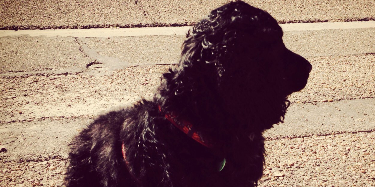 CacoBabie's profile banner image