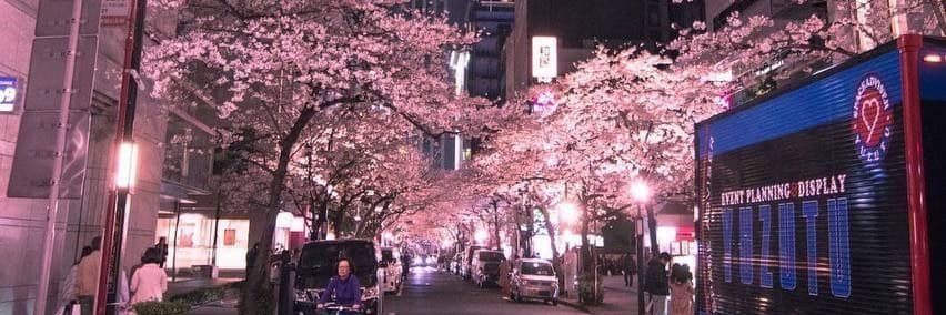 一 d r a g o n l o r d s a n banner