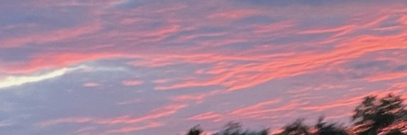 Carmen 🧡🤍🩷 banner