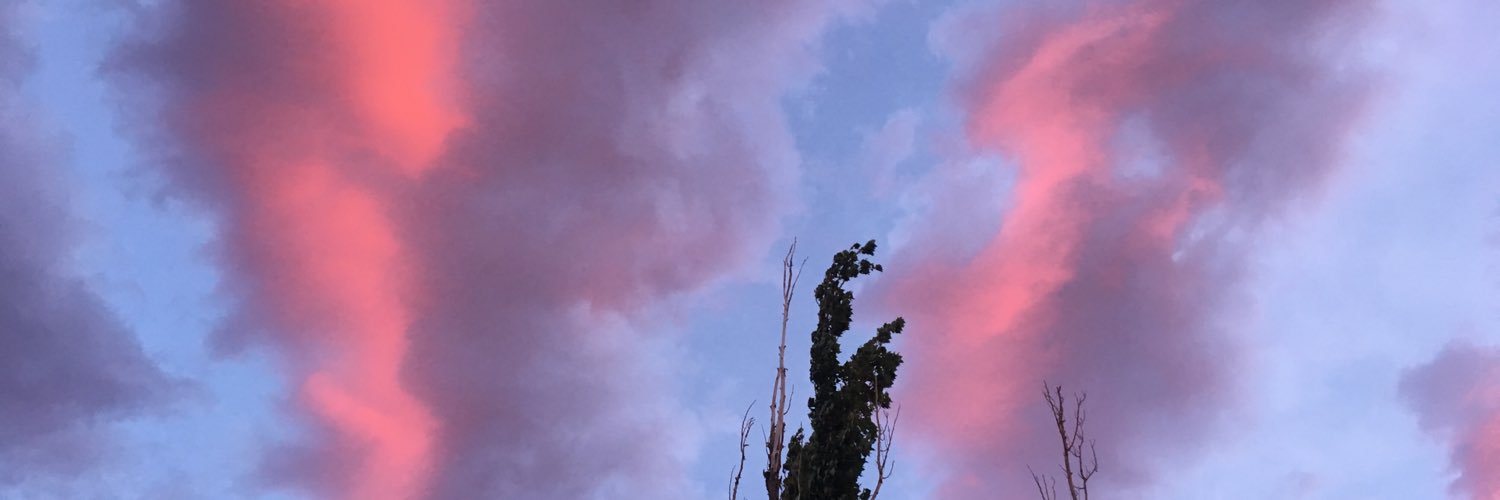 msummab's profile banner image