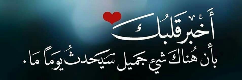 اسامة عبد الفتاح banner
