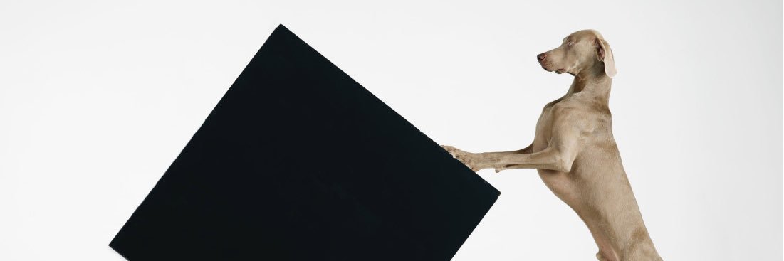 mrandmrssmithpr's profile banner image