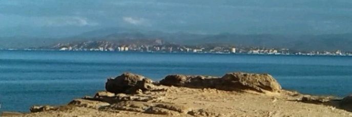 13Orfila's profile banner image