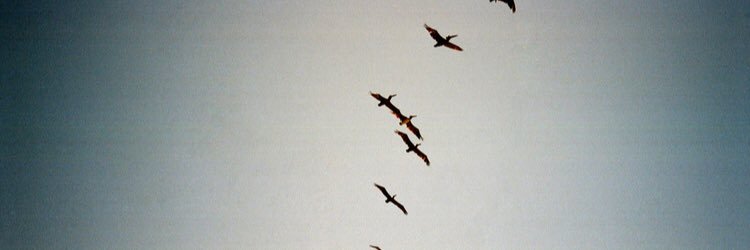 Analogtalkpodcast banner