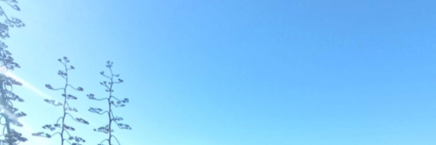 Bitta banner