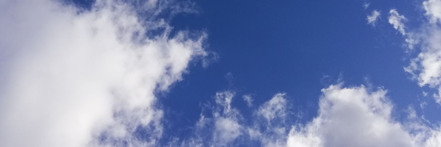 BarbaraDanielaG's profile banner image