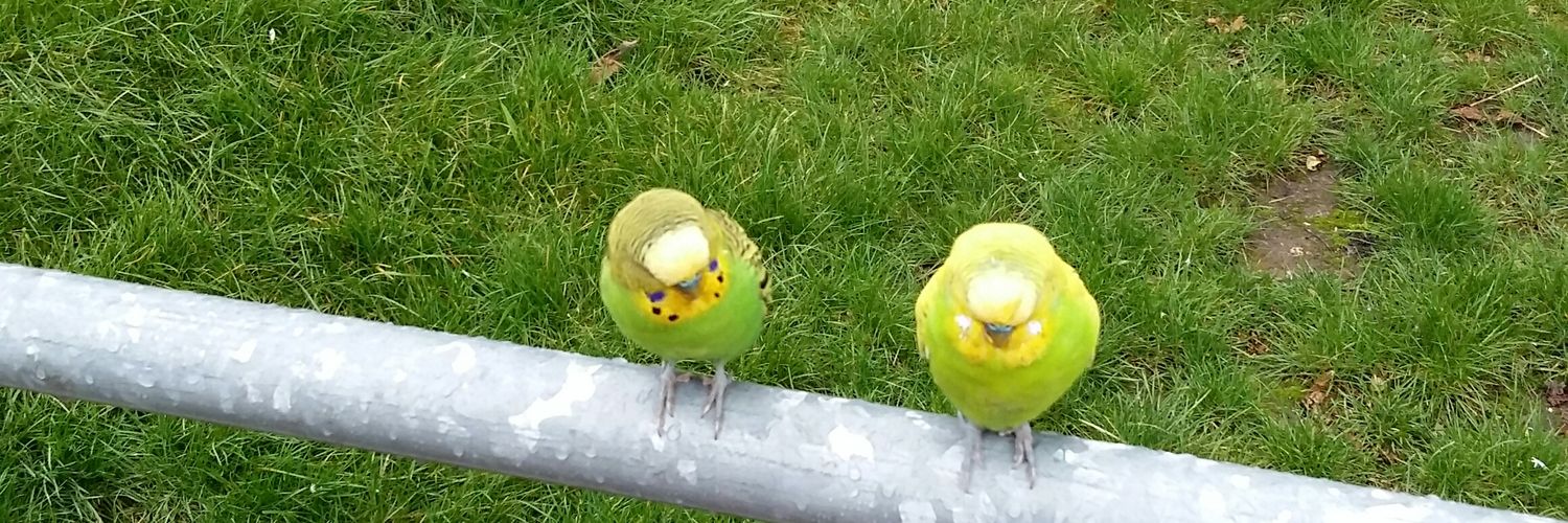 Patrick Hulzebos banner