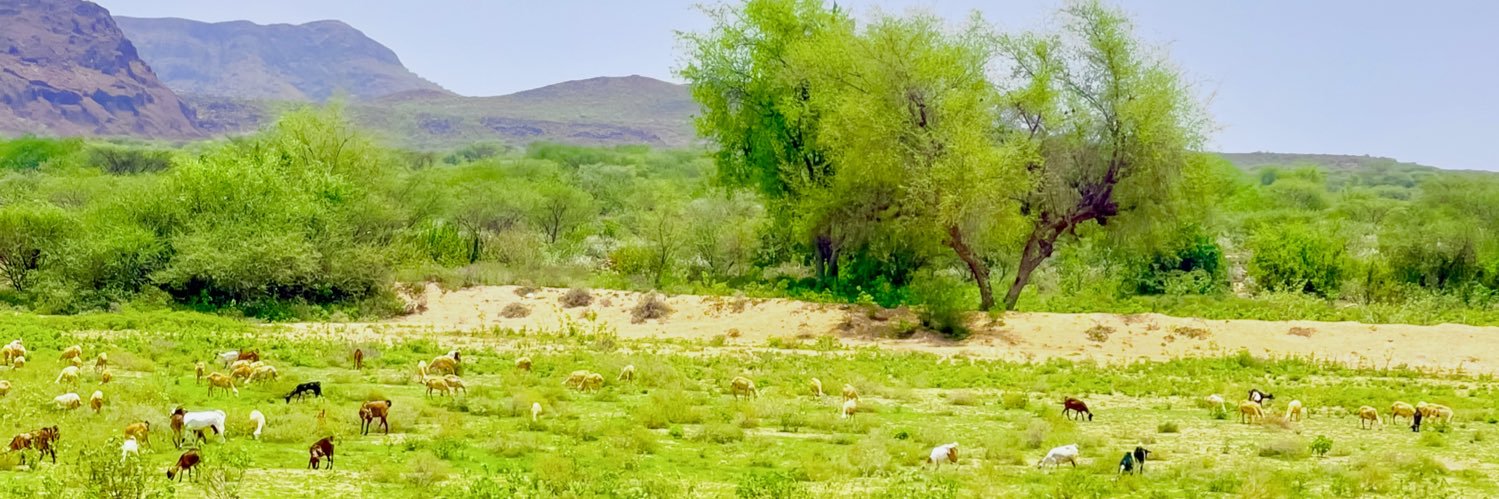 5atmx's profile banner image