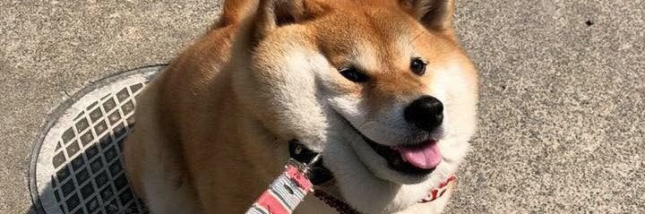 FierceFloof's profile banner image