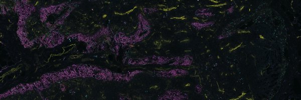 akirataked Profile Banner