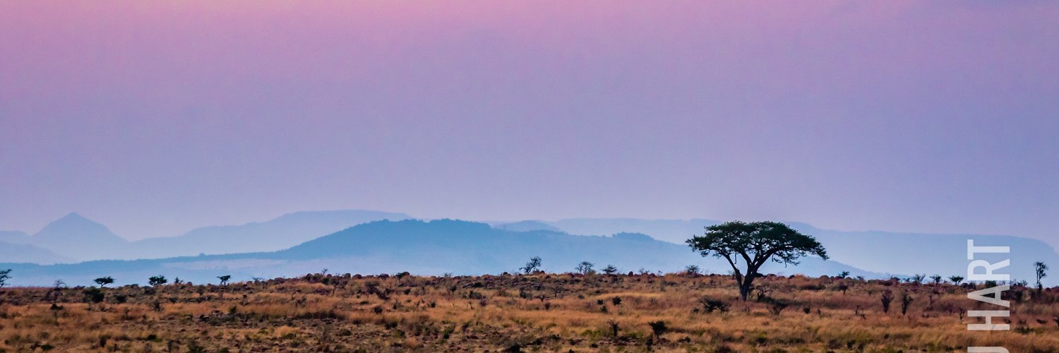 pablohart's profile banner image