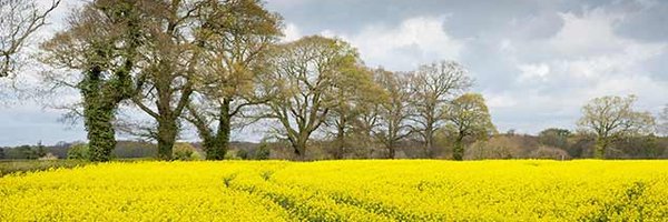 greyfergie77 Profile Banner