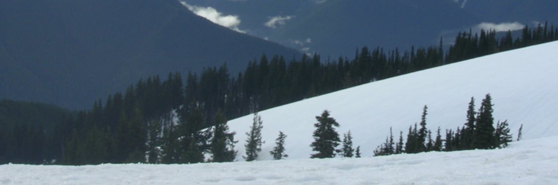 Sequencer's banner