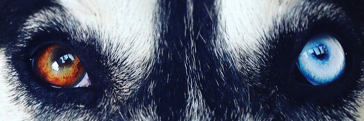 SarisRamirezP's profile banner image