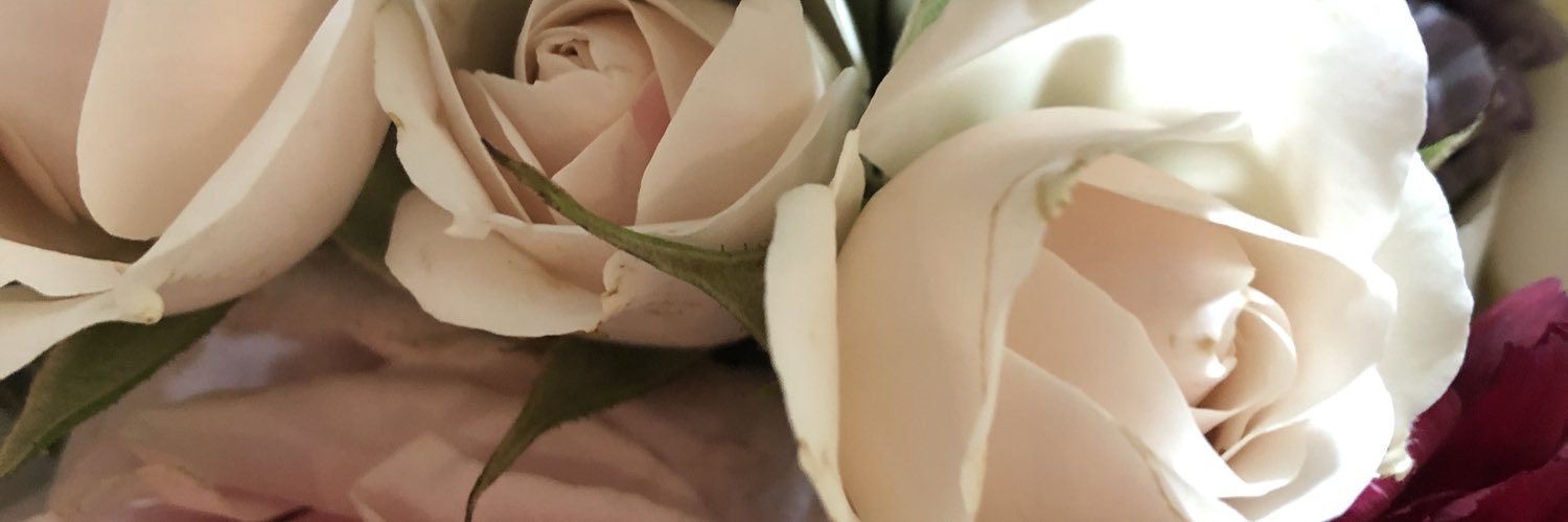 AmaRose3's profile banner image
