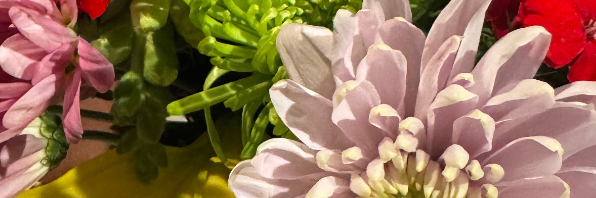 _loveleighv's profile banner image
