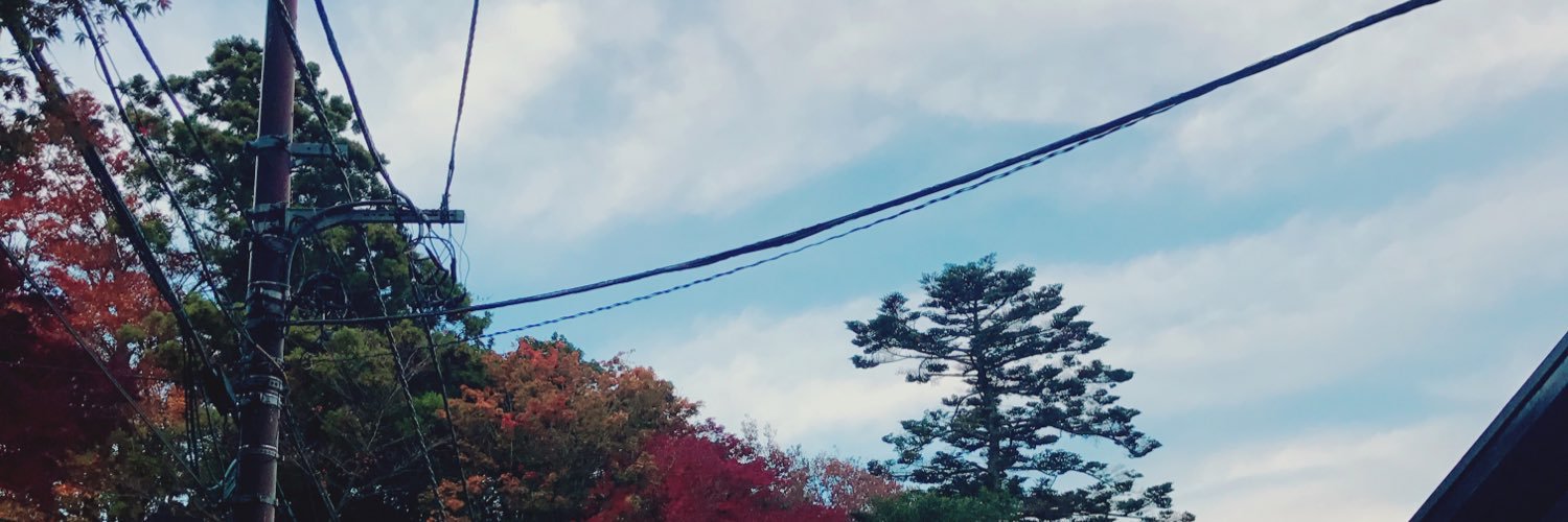 zlins's profile banner image