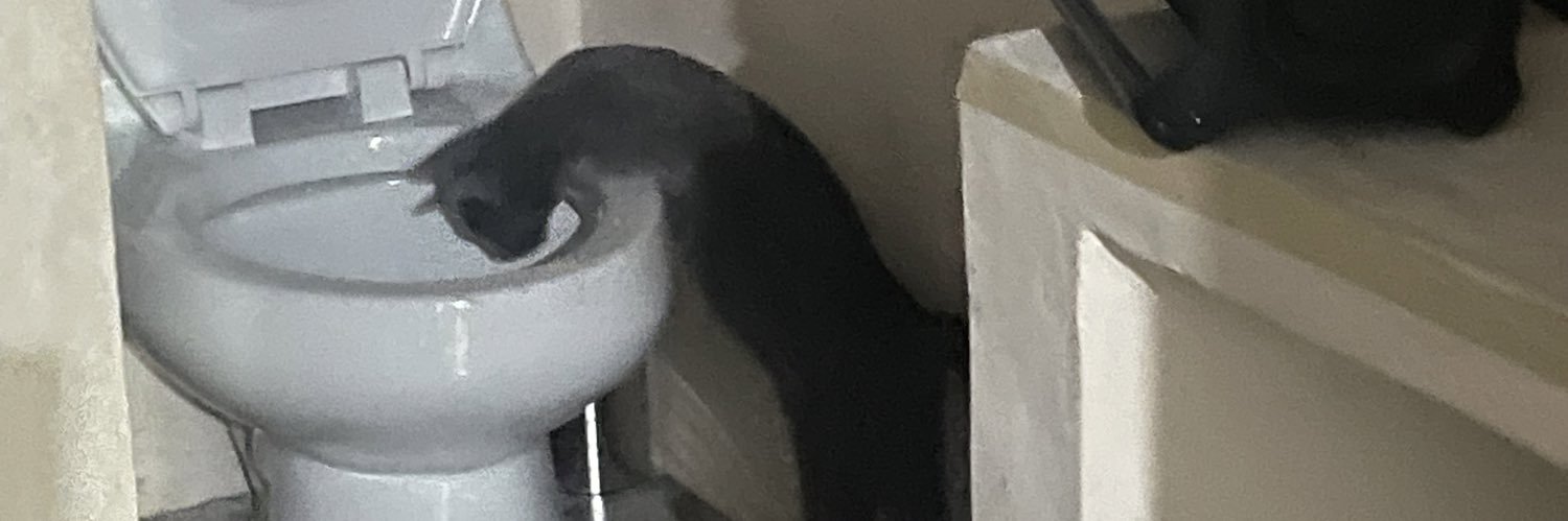 caamilaara's profile banner image