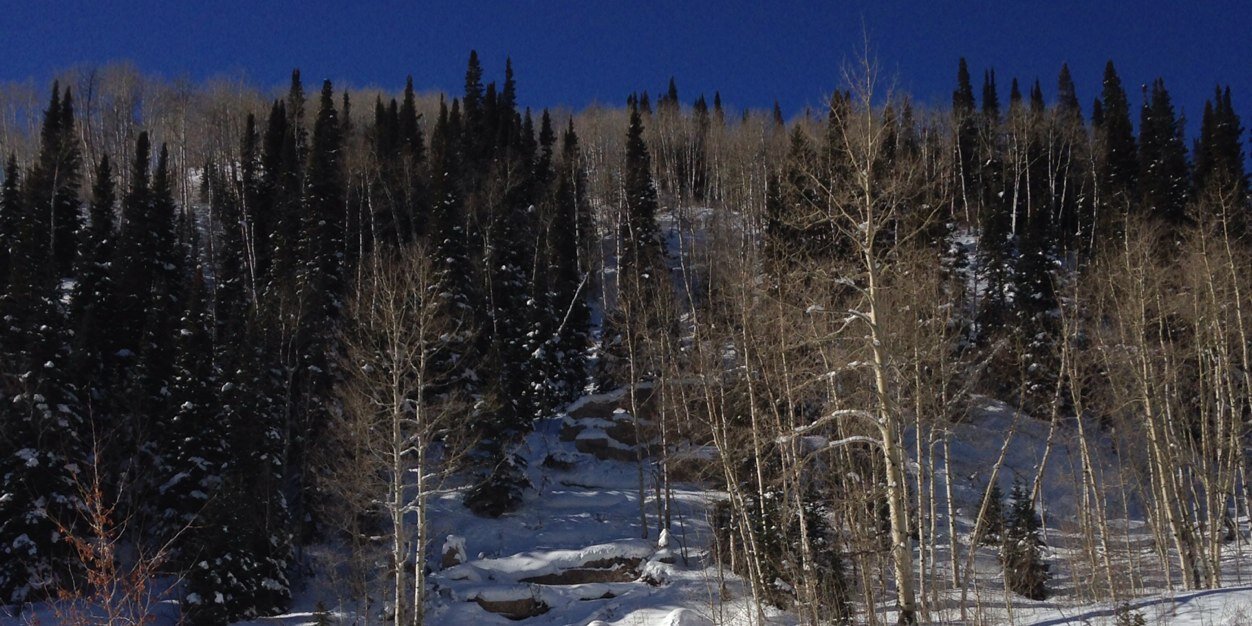 Ryan Williams banner