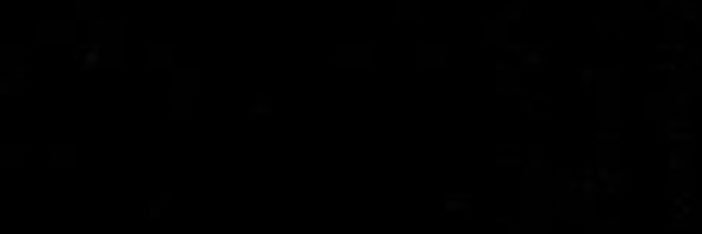 naoufel banner