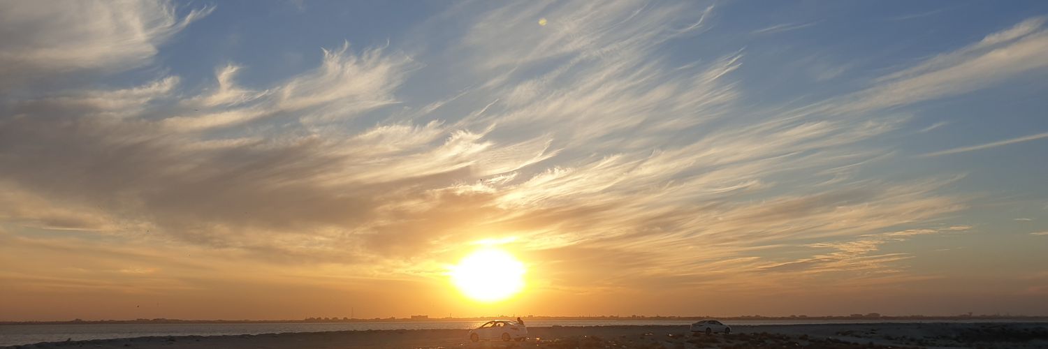 msqaa's profile banner image