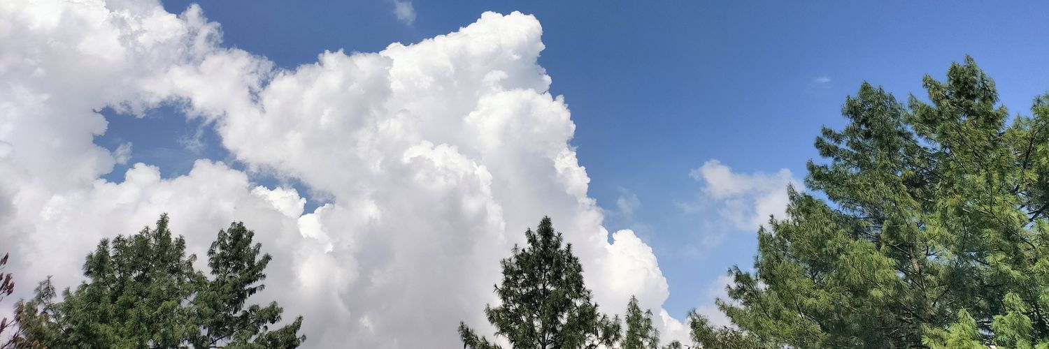 Mehran_Asif's profile banner image
