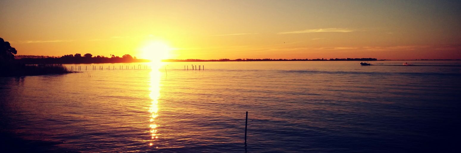 ccoluccio's profile banner image