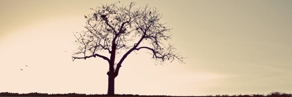 dcff2's profile banner image