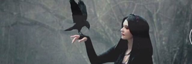 faidiahanna's profile banner image