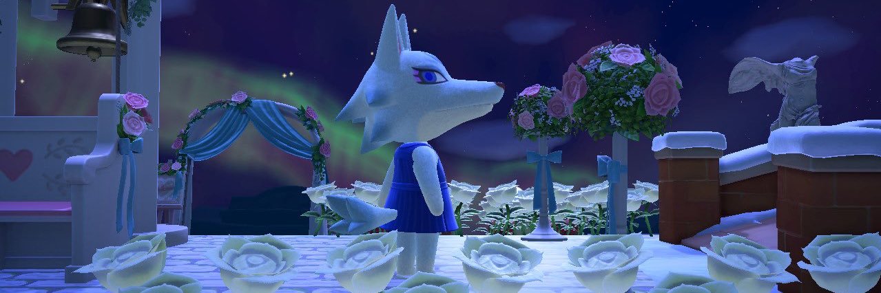 TAASHIBA's profile banner image