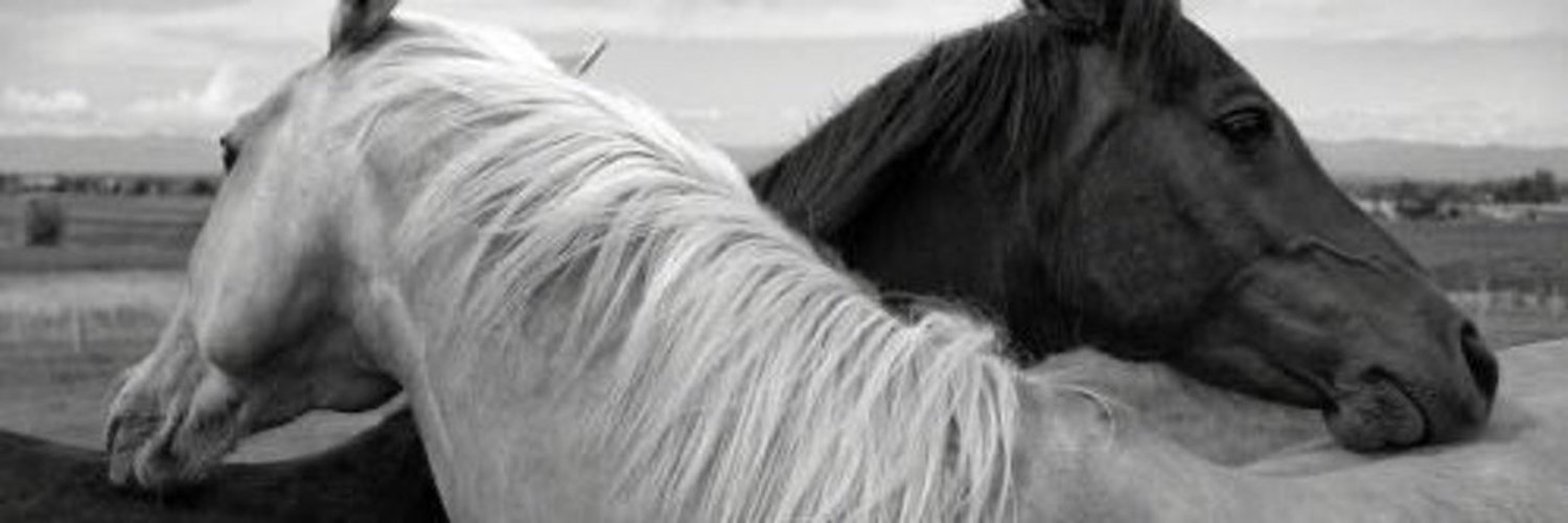 lome__0's profile banner image
