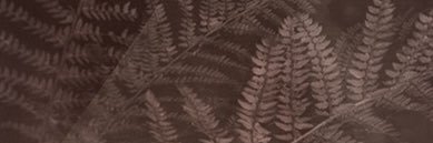 danstav's profile banner image