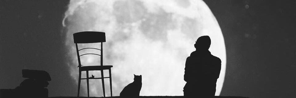 Ebrahim Selim banner