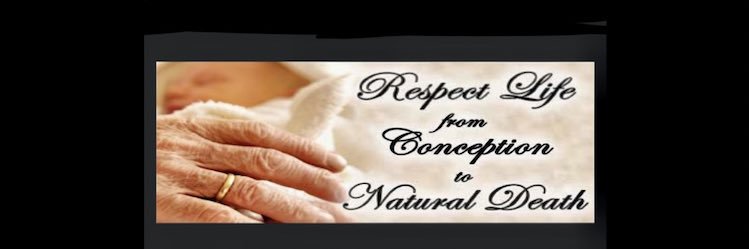 olwillowbrook's profile banner image