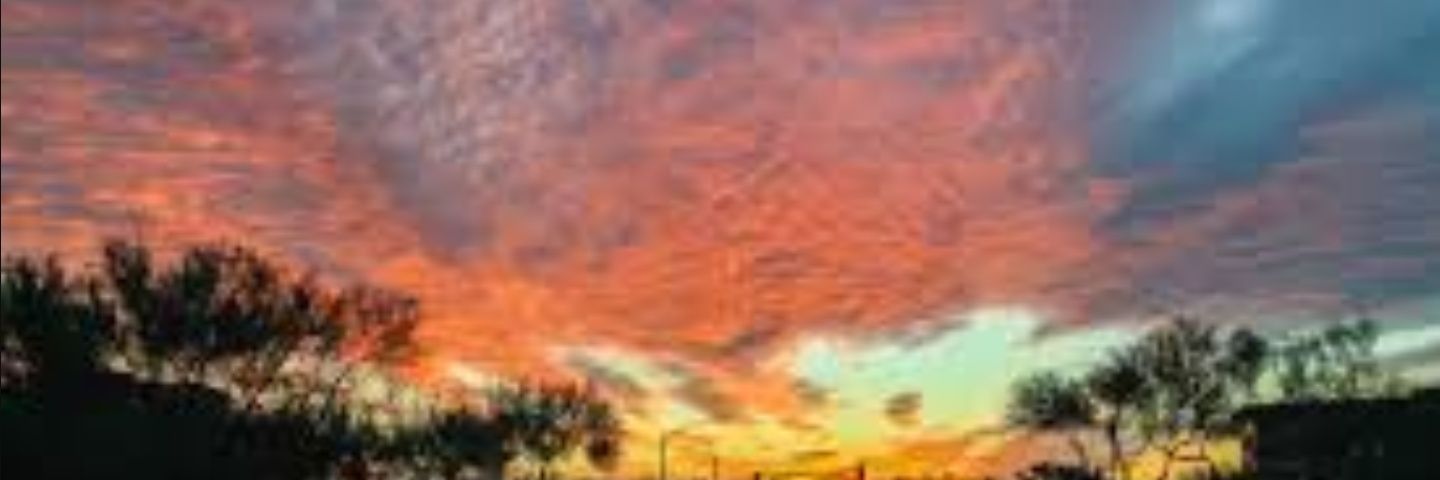 RobynMcd22's profile banner image
