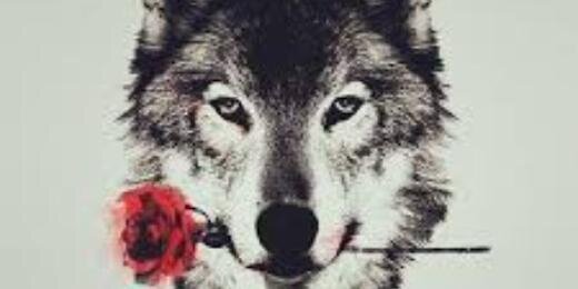ViirAparicio's profile banner image