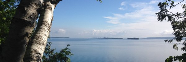 danielpkaufman Profile Banner