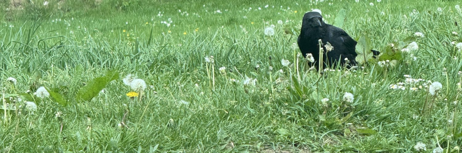 DebzzDebra's profile banner image