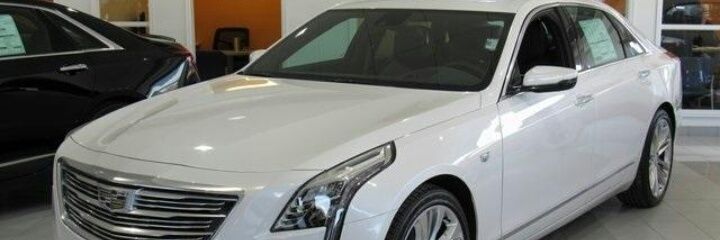 francesmendiet's profile banner image